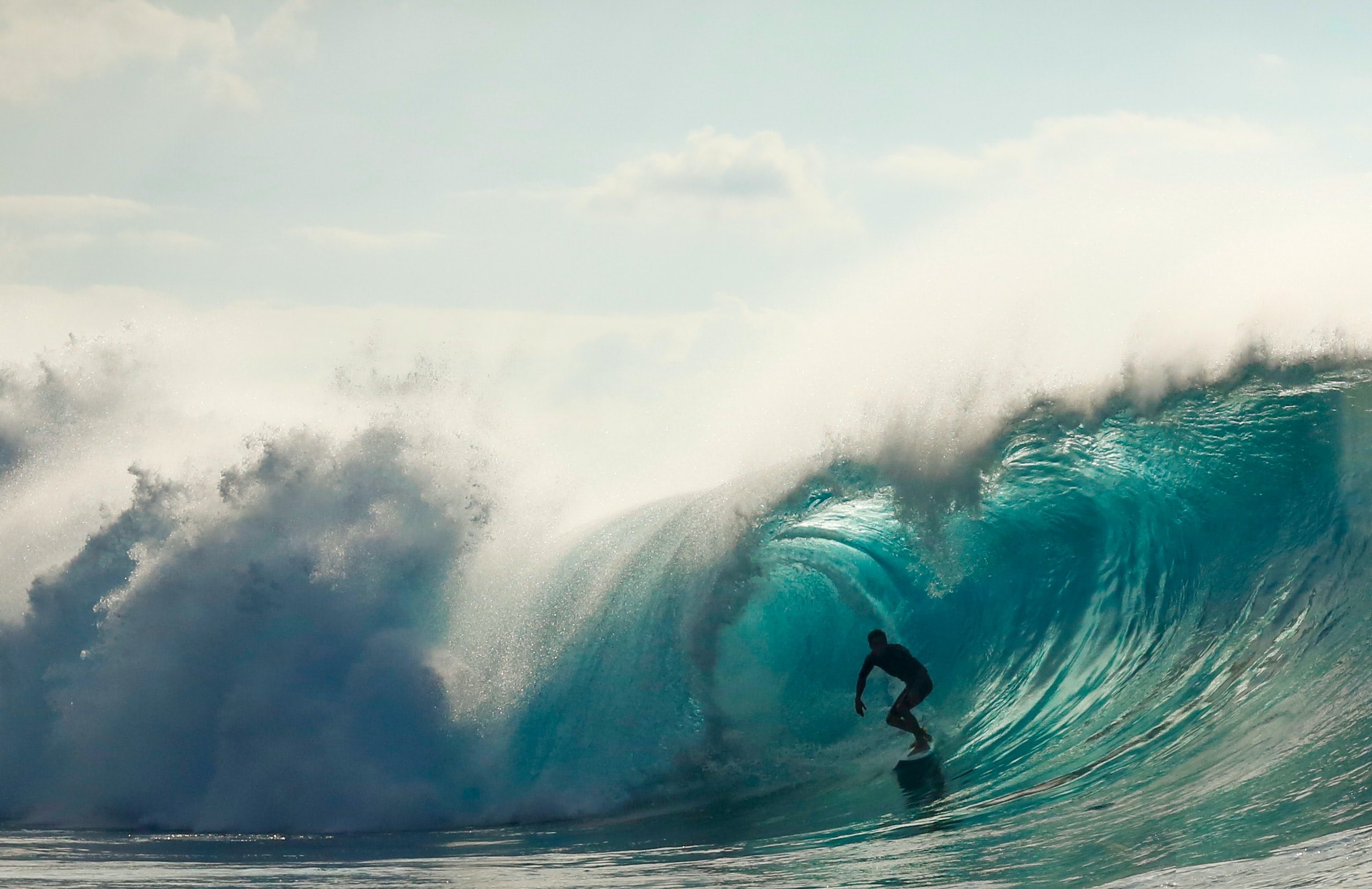 RESILIENZ: SURFMEISTER*IN WERDEN!